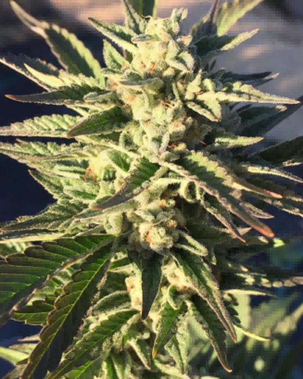 2UHY740LOMJS2PI6T1 2UHY740LOMJS2PI6T1